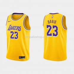 Los Angeles Lakers Pelipaita Anthony Davis 23 Nike 2021-2022 Icon Edition Swingman