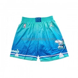 Charlotte Hornets 75th Anniversary Nike Sinivihreä Shortsit Swingman